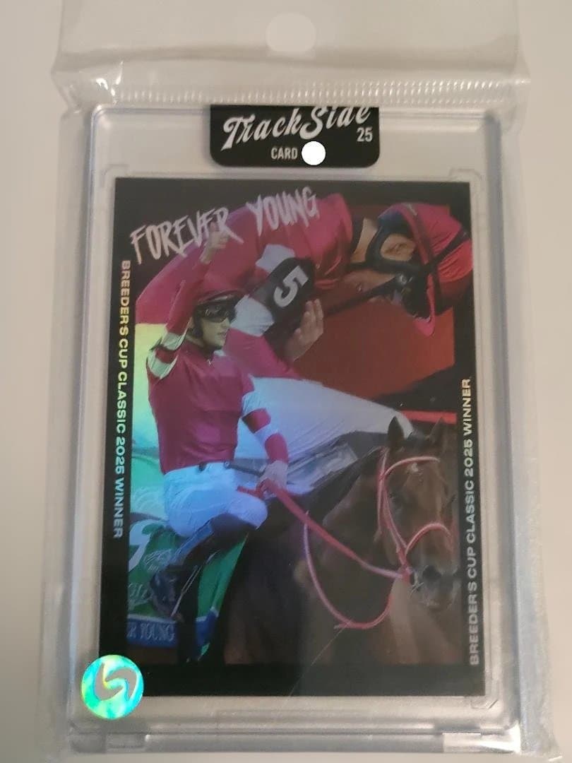 世界50枚限定！ 競馬 フォーエバーヤング BCクラシック優勝記念 坂井瑠
