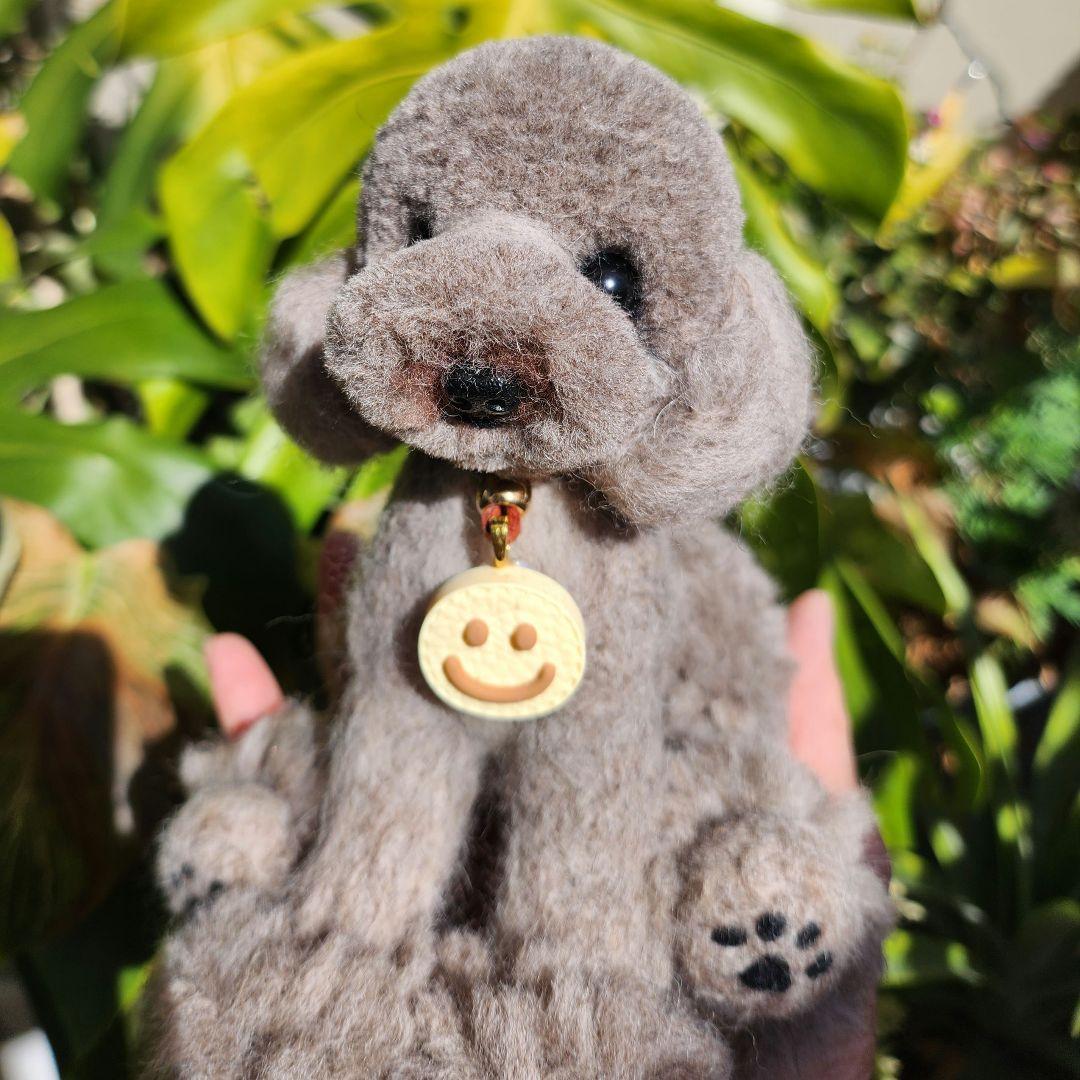 トイプードル❤️ハンドメイド❤️羊毛フェルト　　　　　　　　　お迎え決まりました