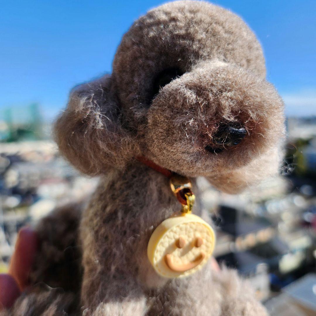 トイプードル❤️ハンドメイド❤️羊毛フェルト　　　　　　　　　お迎え決まりました