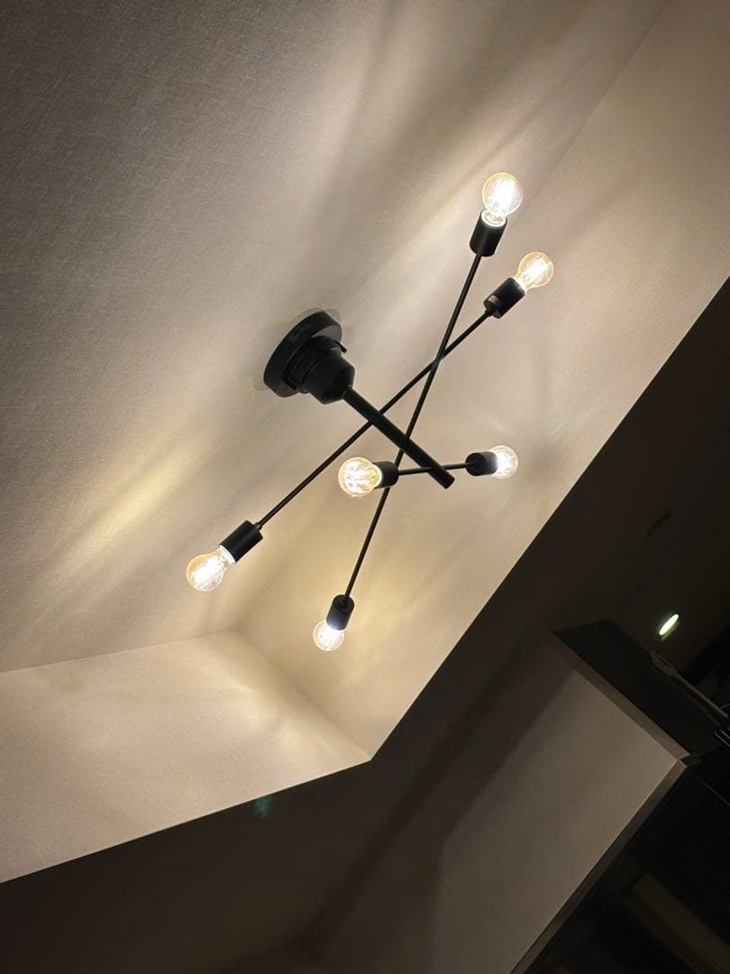 インターフォルムシーリングライト ブラック