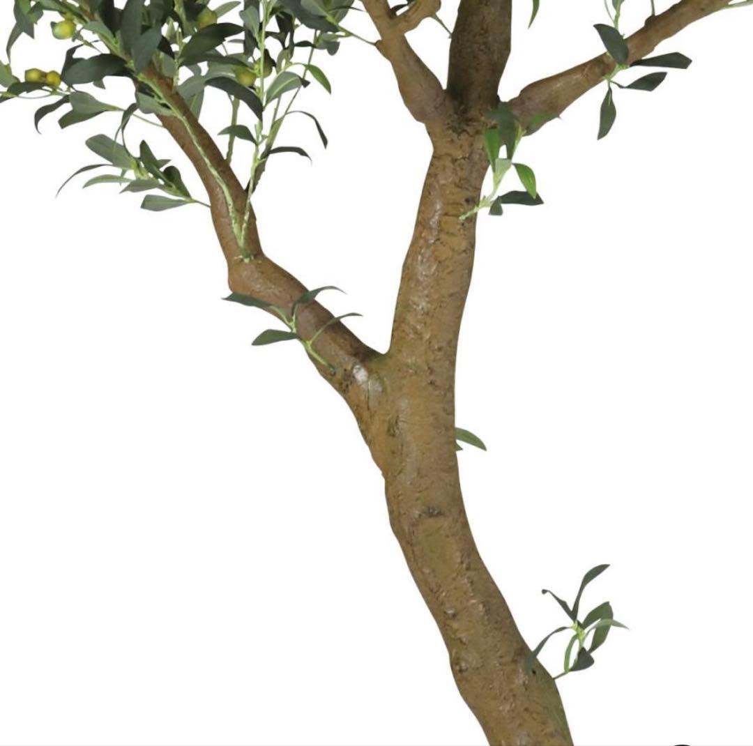 光触媒　人工観葉植物　フェイクグリーン　ブラックオリーブコアッド