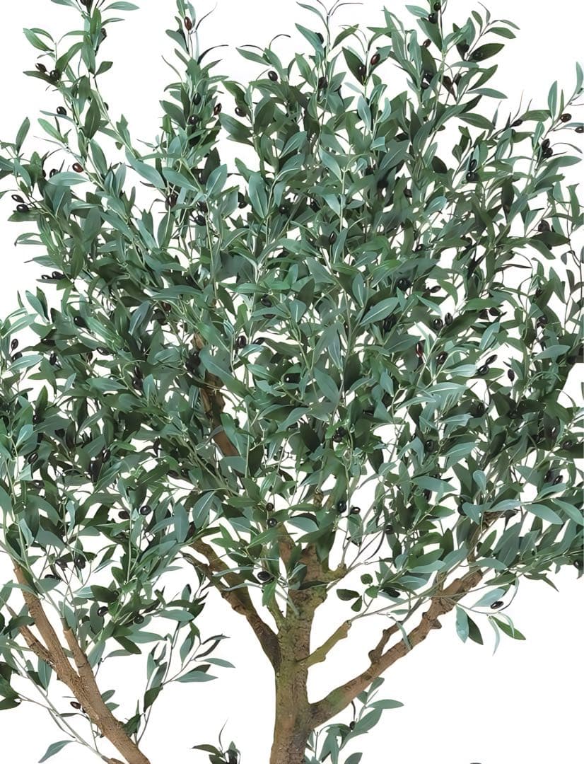 光触媒　人工観葉植物　フェイクグリーン　ブラックオリーブコアッド