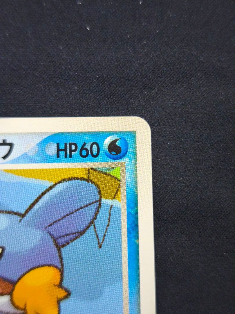 ポケパークのミズゴロウ ポケパークプレミアムファイル 003/009 - メルカリ