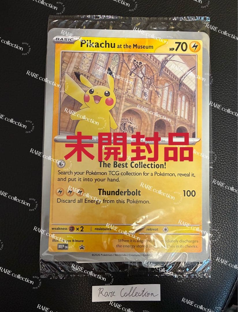 Pikachu at the Museum ピカチュウ ロンドン自然史博物館32 - メルカリ