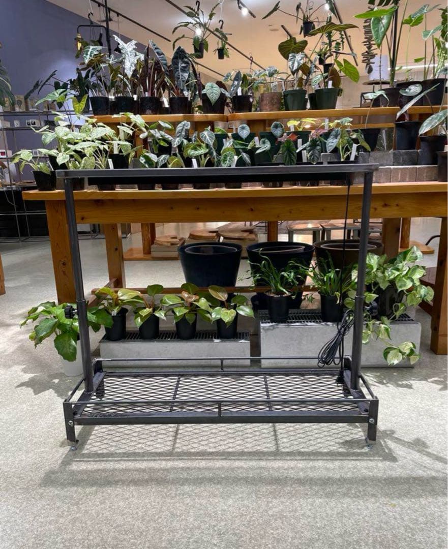 1台限定　黒塗装済み完成品　アイアン　ミニ植物棚　ダクトレール50cm付き！