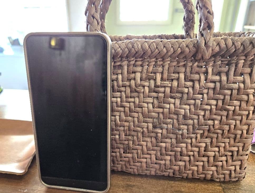 国産山葡萄　ハンドメイド籠バック　小さいけど、大きい方