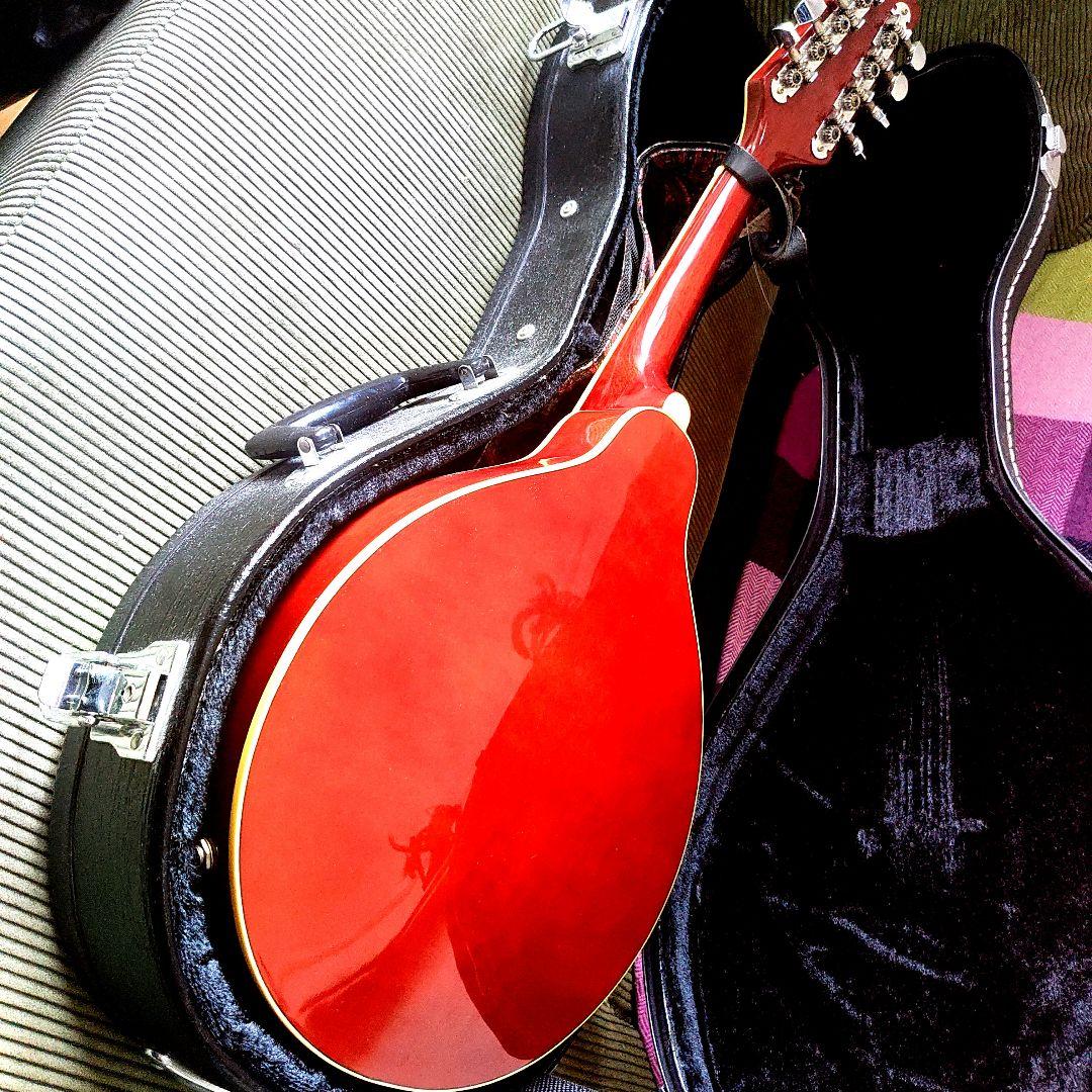 MOUNTEREY エレキマンドリン MME-203 - メルカリ