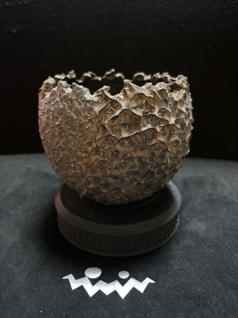 RAW LIfE FACTORY 鬼嫁 初期作 鶴仙園 RLF 鉢 アガベ