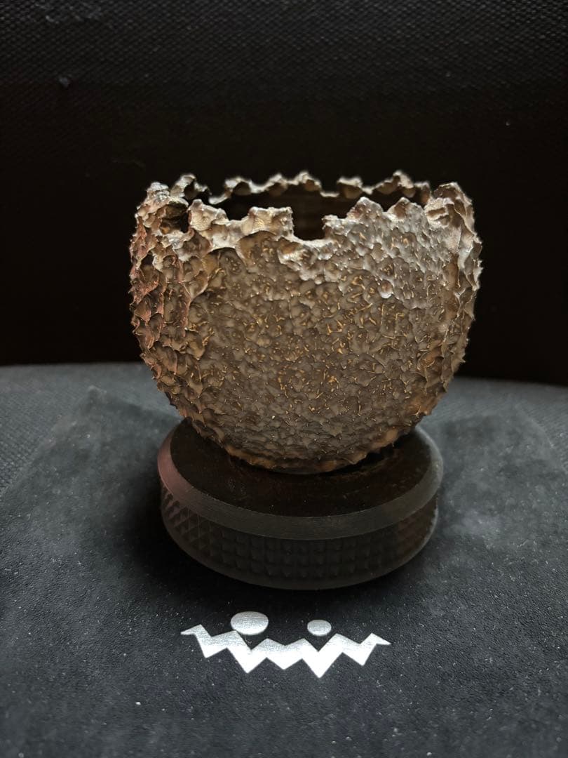 RAW LIfE FACTORY 鬼嫁 初期作 鶴仙園 RLF 鉢 アガベ