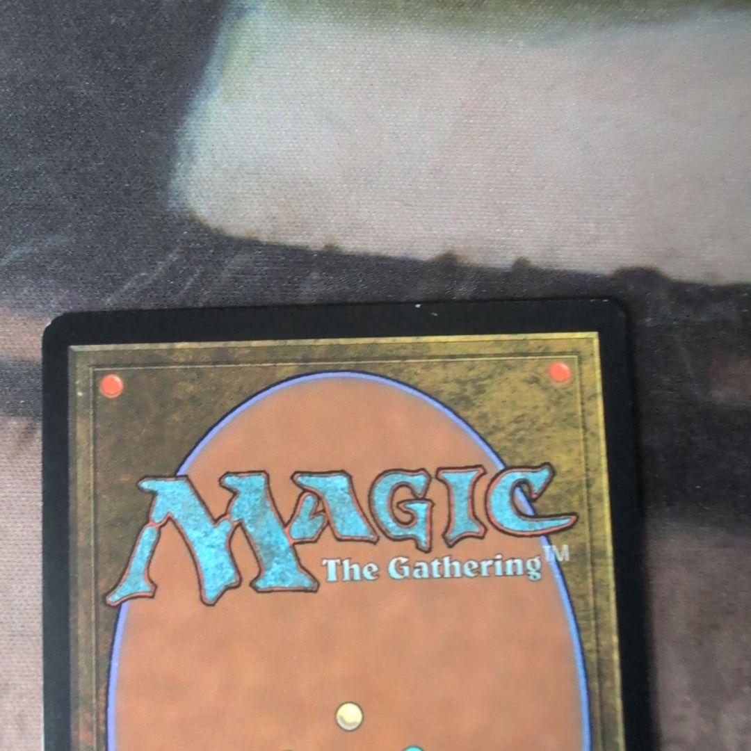 MTG　沸騰する小湖　日本語版　初版　ZEN　Foil