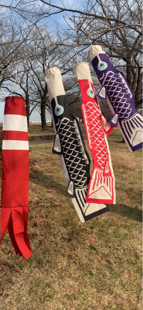 歌川広重「名所江戸百景　水道橋駿河台」手染め豆広重鯉1.1m子鯉紫セット鯉のぼり