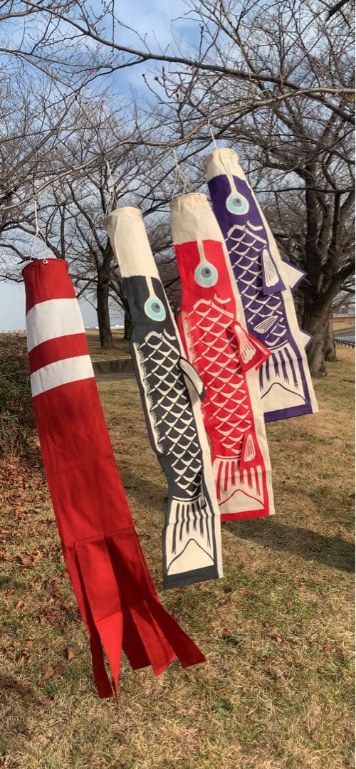 歌川広重「名所江戸百景　水道橋駿河台」手染め豆広重鯉1.1m子鯉紫セット鯉のぼり