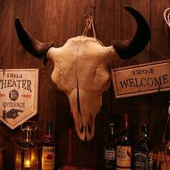 試験的出品　本物 バッファロースカルヘッド　牛頭骨　インテリア