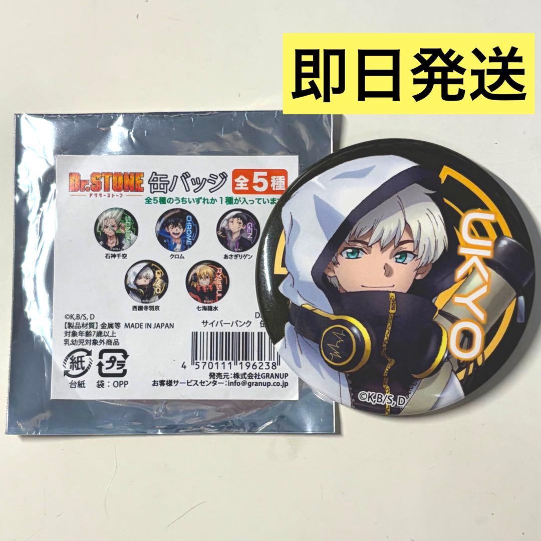 Dr.STONE 西園寺羽京 缶バッジ サイバーパンク - メルカリ