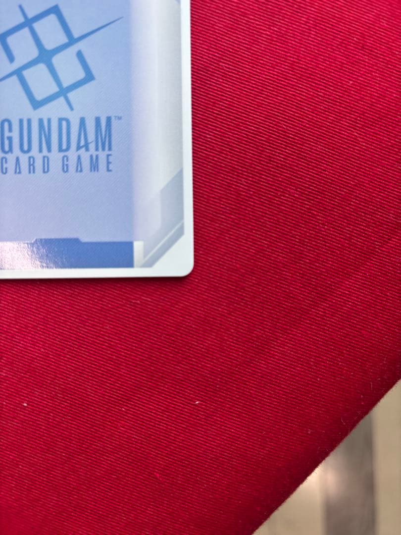 カ*ブ様 溢れる慈愛　パラレル　ローダー付き