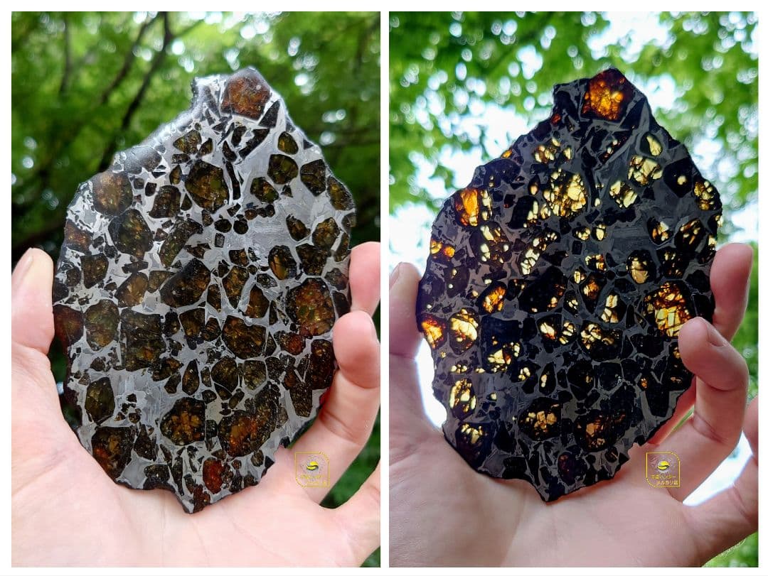 つう✨隕石 Provisional NWA16799 102.75g ⭐