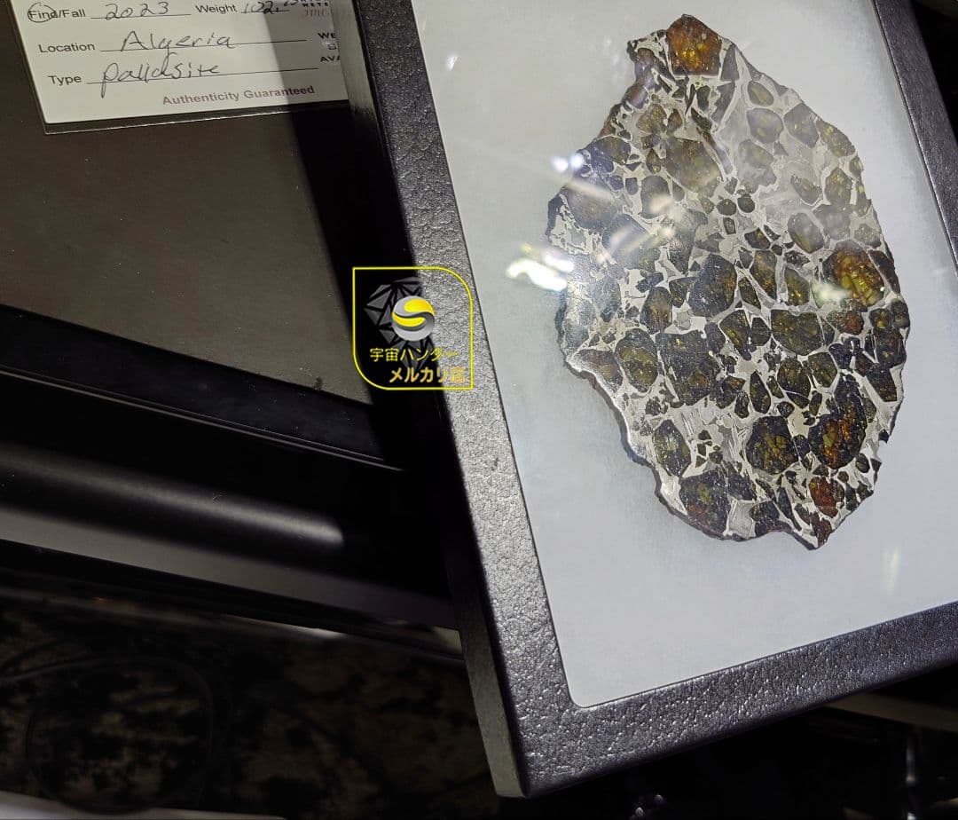 つう✨隕石 Provisional NWA16799 102.75g ⭐
