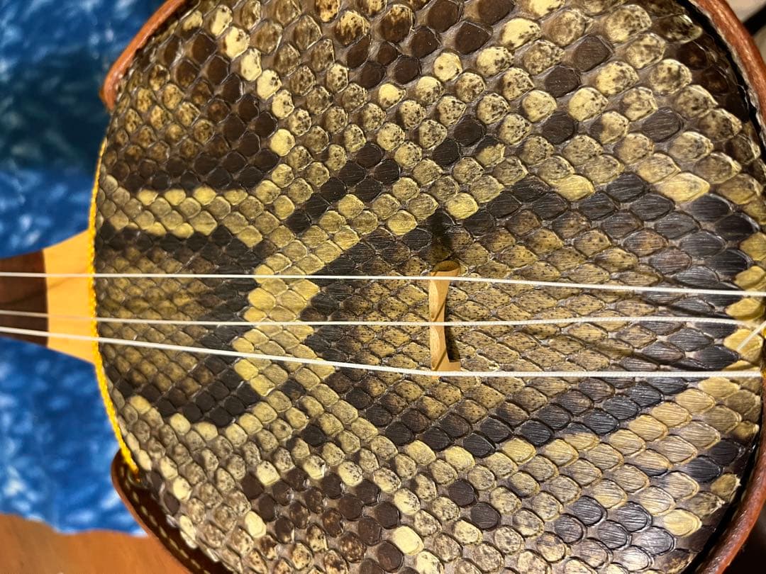 【希少・特注品】SAGO × 照喜名工房 三線　本蛇皮・赤珊瑚風クイ・染色革胴巻