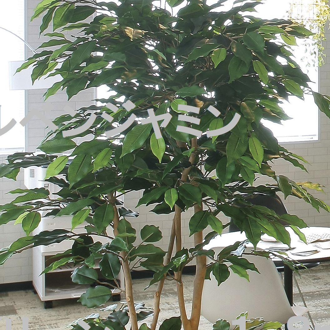 ☆日本製☆☆☆フェイクグリーン ナチュラルベンジャミン1.8 高さ1.8m