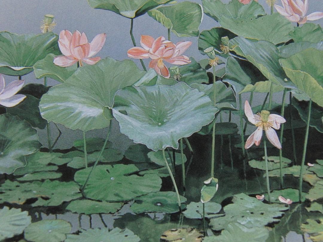 浜田泰介、【晩夏】、希少な額装用画集より、状態良好、新品額装付