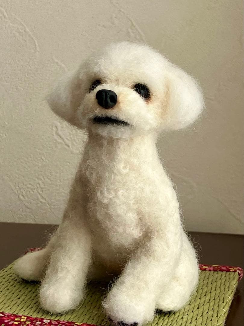 羊毛フェルト マルチーズ×チワワMIX犬
