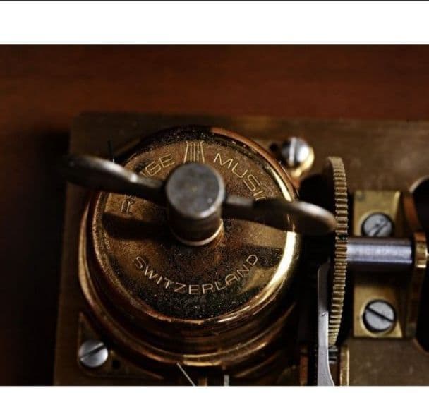 リュージュ 51弁 シリンダー５本 交換式オルゴール