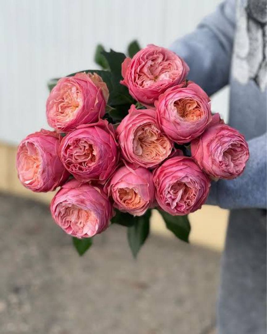 切り花品　レア薔薇