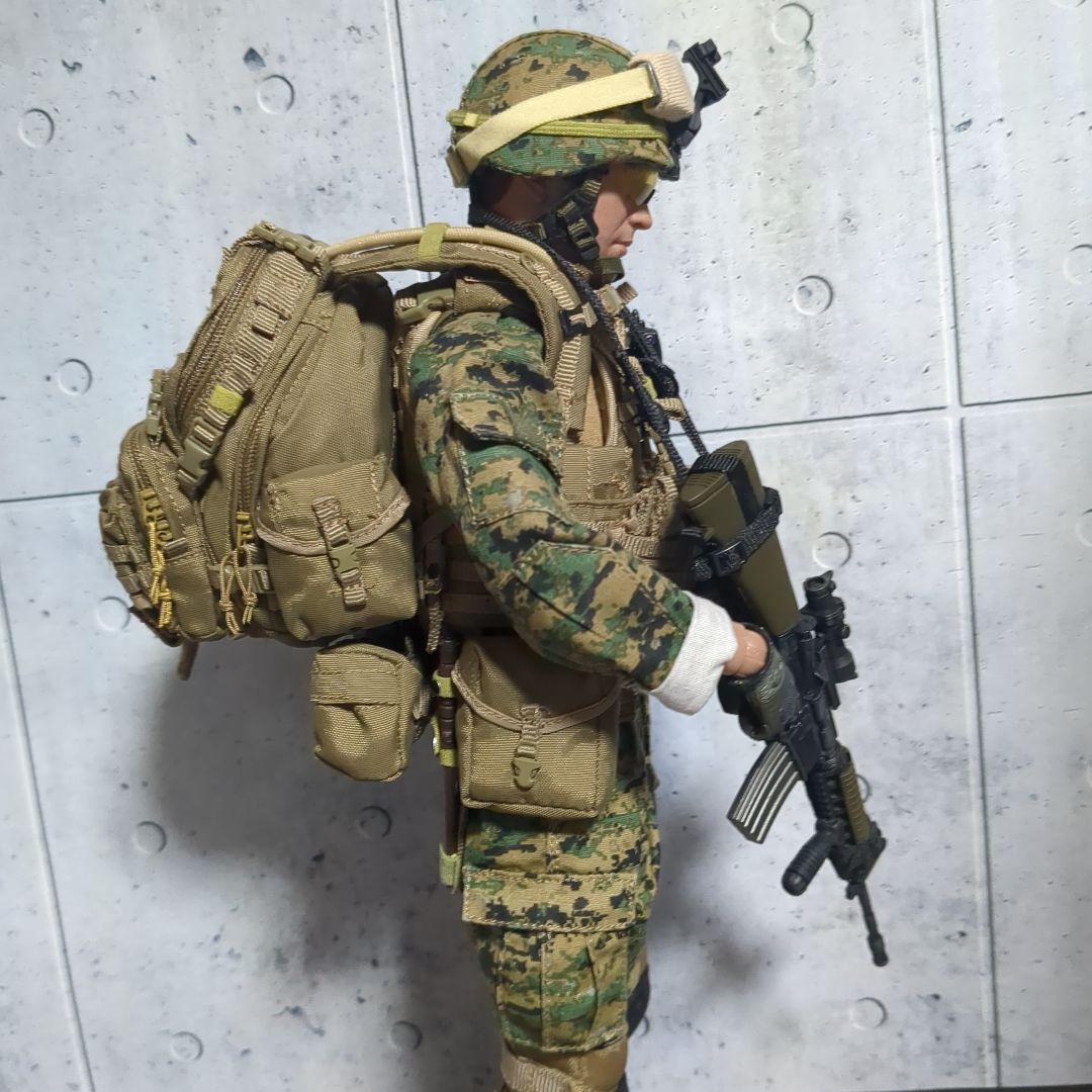 1/6 米海兵隊 第2海兵遠征旅団 アフガニスタン カスタム CS60