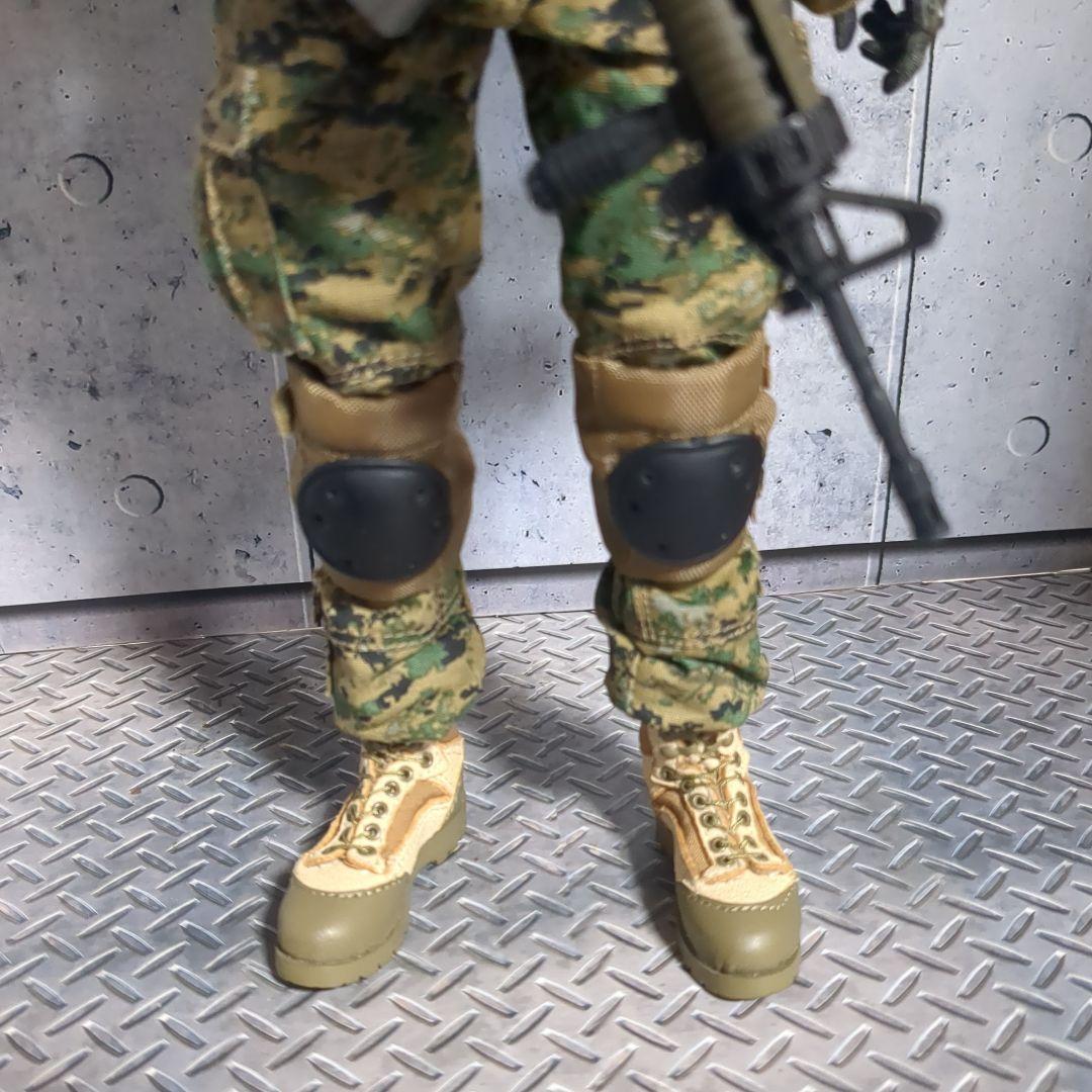 1/6 米海兵隊 第2海兵遠征旅団 アフガニスタン カスタム CS60