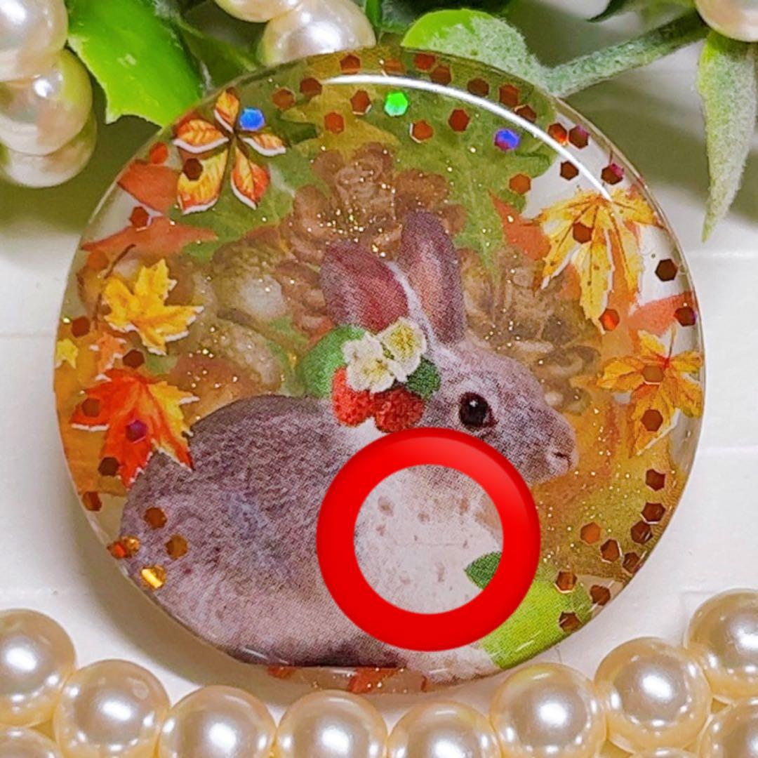 リリィ様お取置きです。【訳あり】レジンヘアゴム 実りの秋紅葉とうさぎNo.708