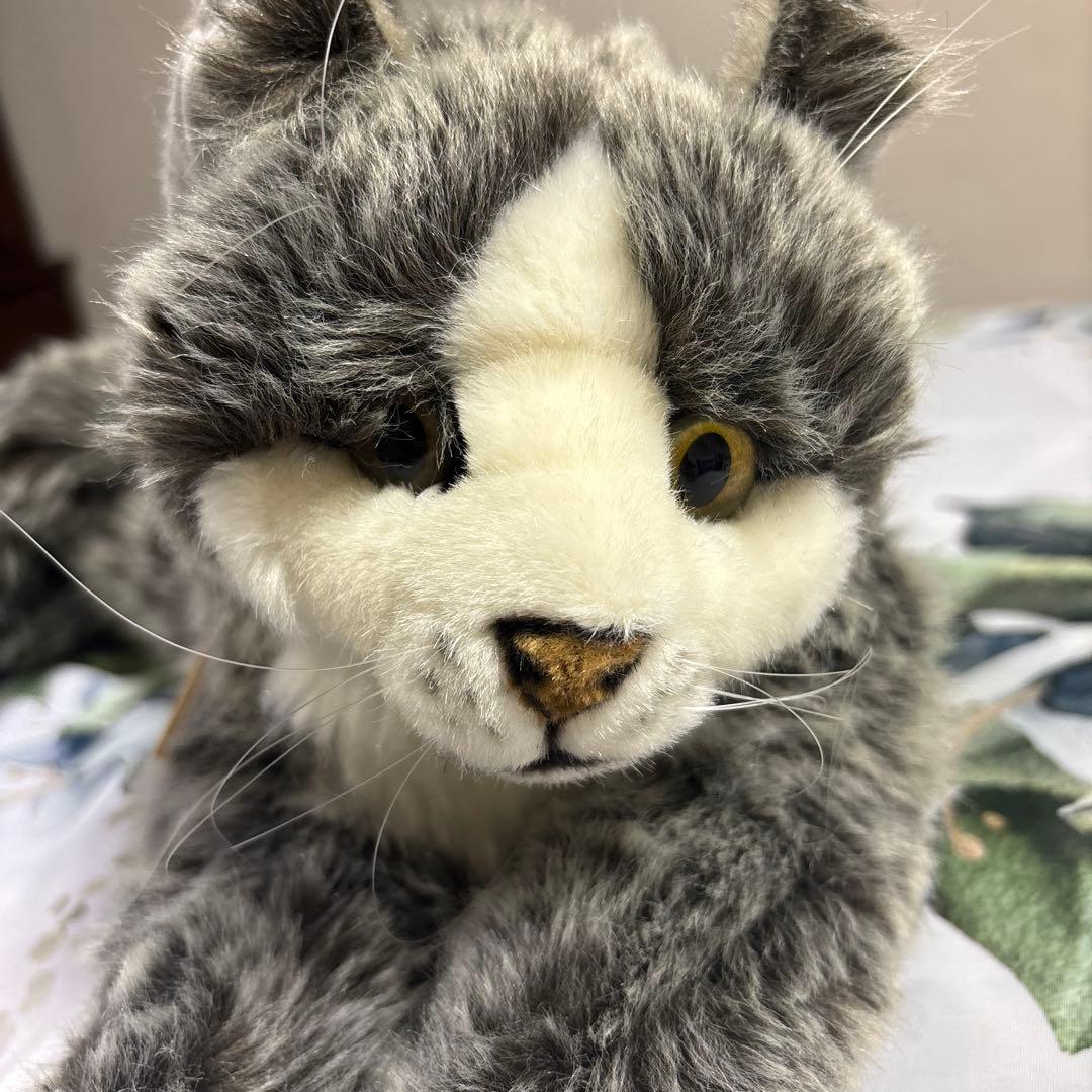 kosen (ケーセン)メインクーン　ねそべり猫