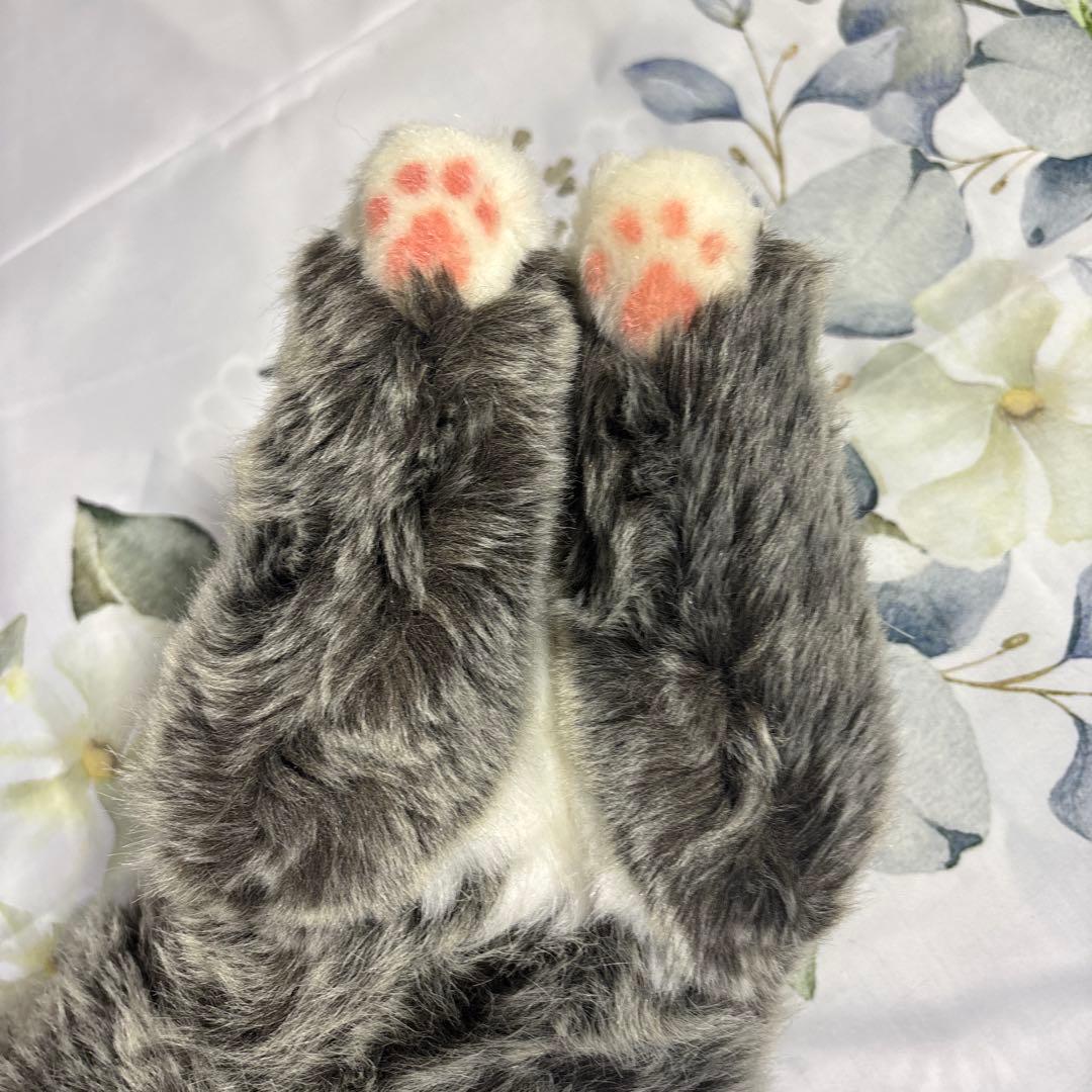 kosen (ケーセン)メインクーン　ねそべり猫