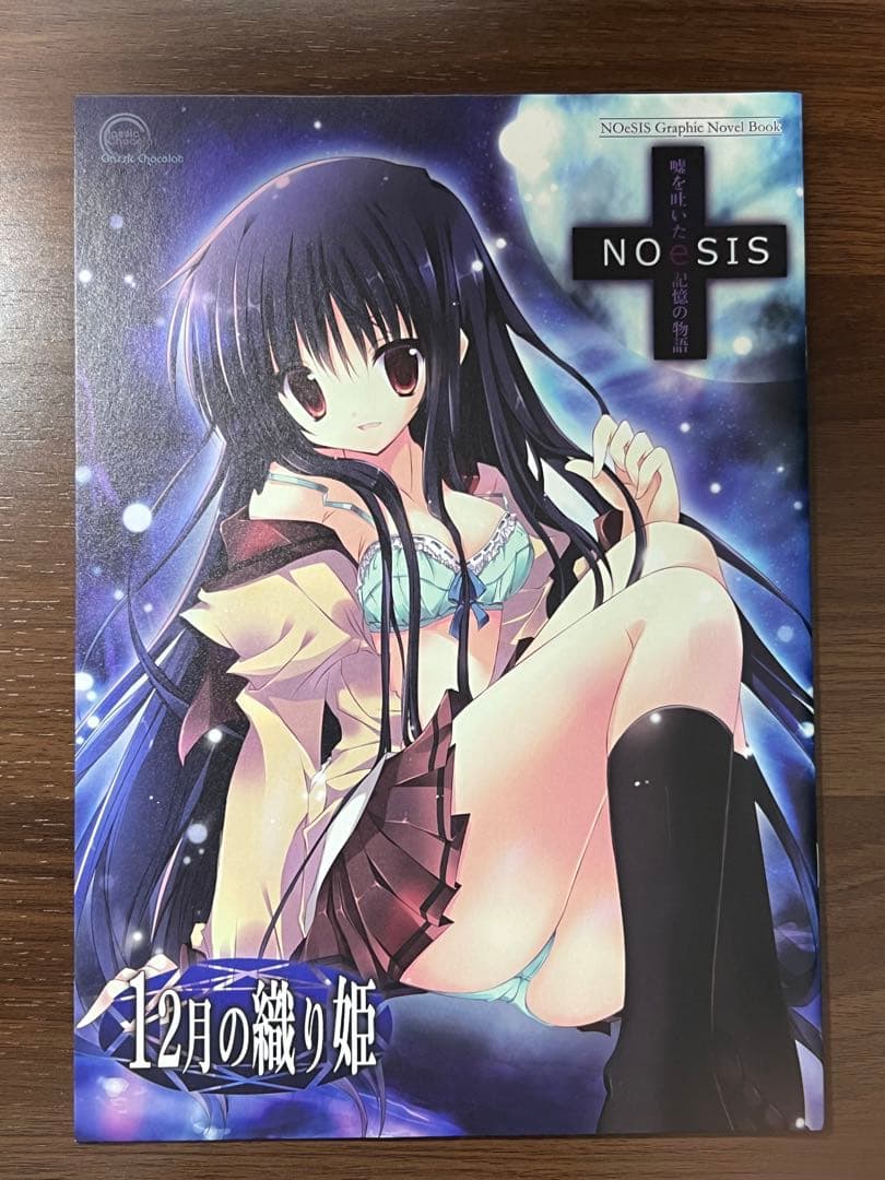 NOeSISグッズセット（同人誌、クリアファイル、抱き枕カバー、一部サイン入り）