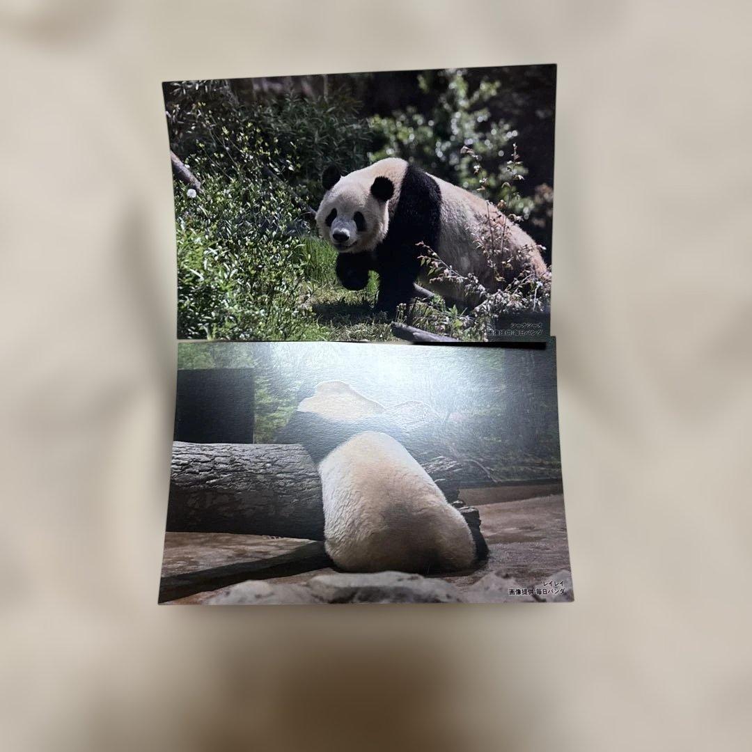 う*こ様 シャオシャオ レイレイ 思い出のポストカードセット 上野