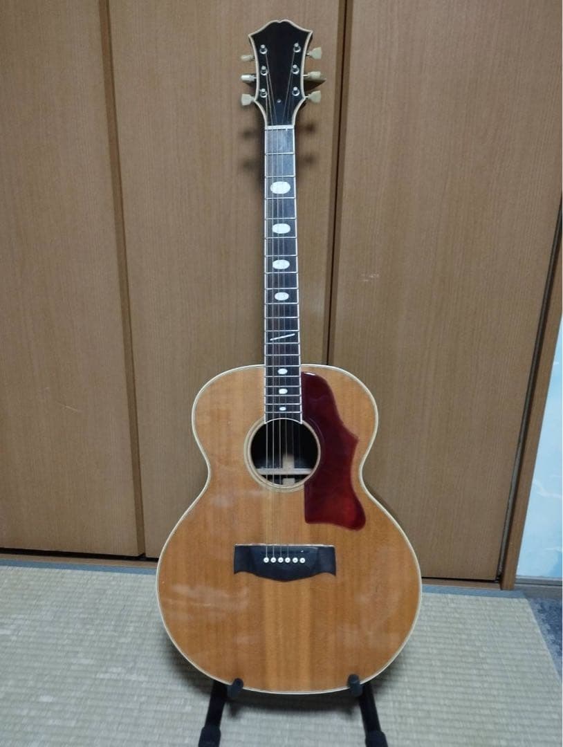 Stafford スタッフォード エレアコ カート・コバーン SF-SI-BS