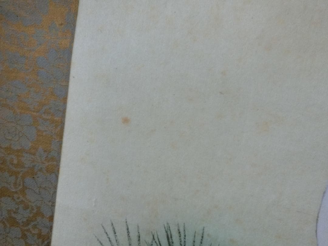 日本画 掛け軸 鶴 桂堂画