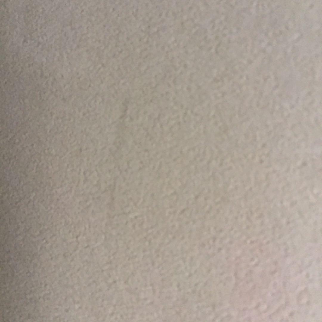 ダヤン ジグレー版画