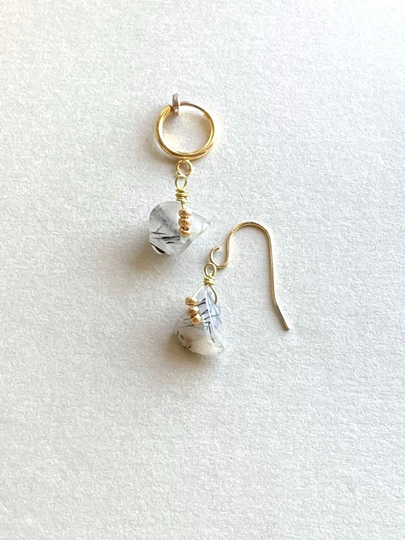 no.0100 朝露のブラックルチル