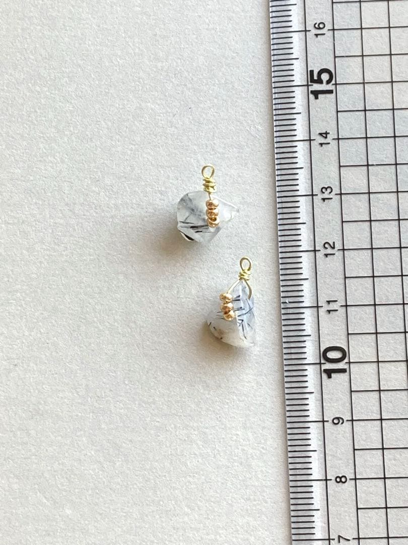 no.0100 朝露のブラックルチル