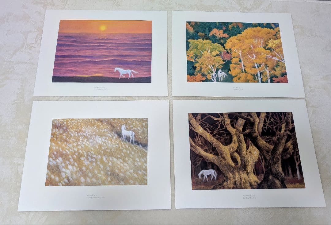 東山魁夷 作品集 『白馬幻想』日本経済新聞社 1990年 - メルカリ