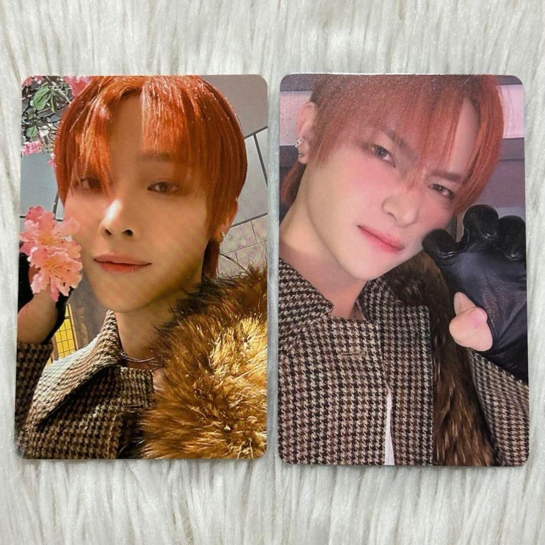 &TEAM NICHOLAS ニコラス 雪明かり トレカ まとめ売り - メルカリ