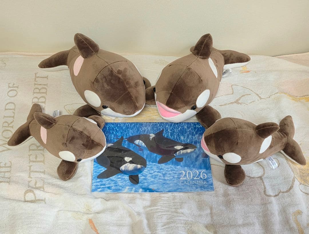 圧縮なし・カレンダー付】須磨シーワールド オルカくじ バレンタイン