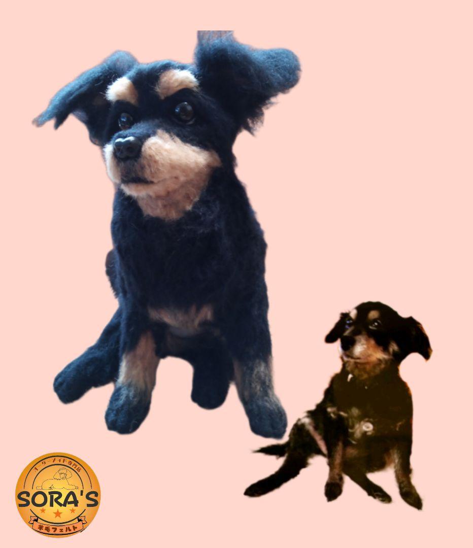 愛犬さんの羊毛フェルトオーダー専門・わんちゃん・ぬいぐるみ