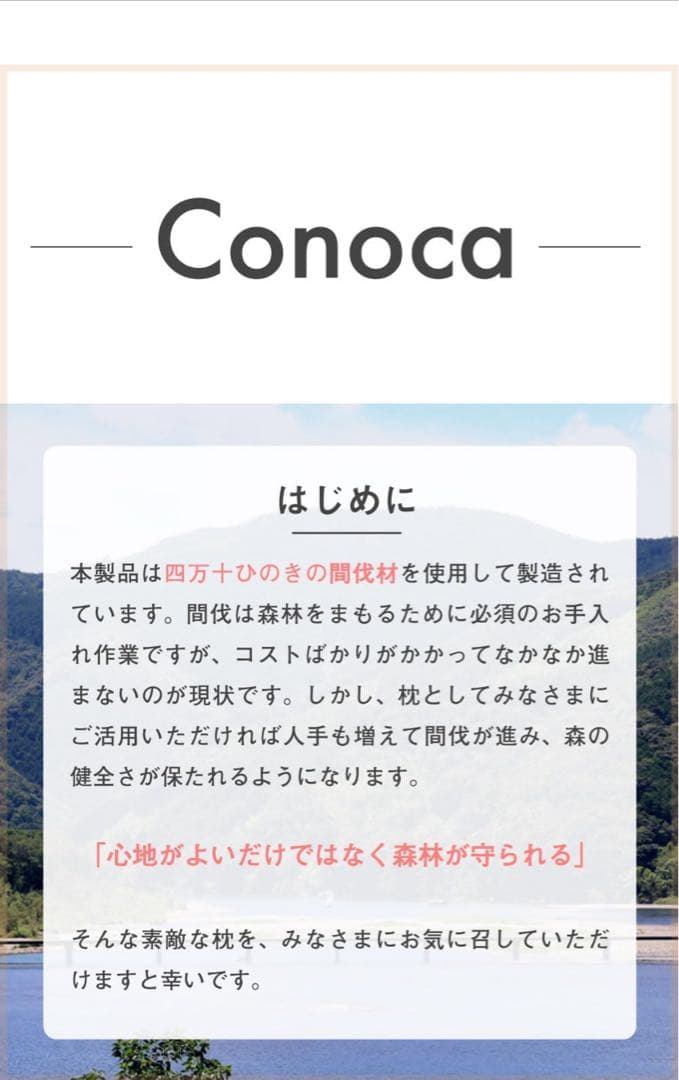 【美品】ひのきアロマ枕 Conoca＋追加ひのきチップ