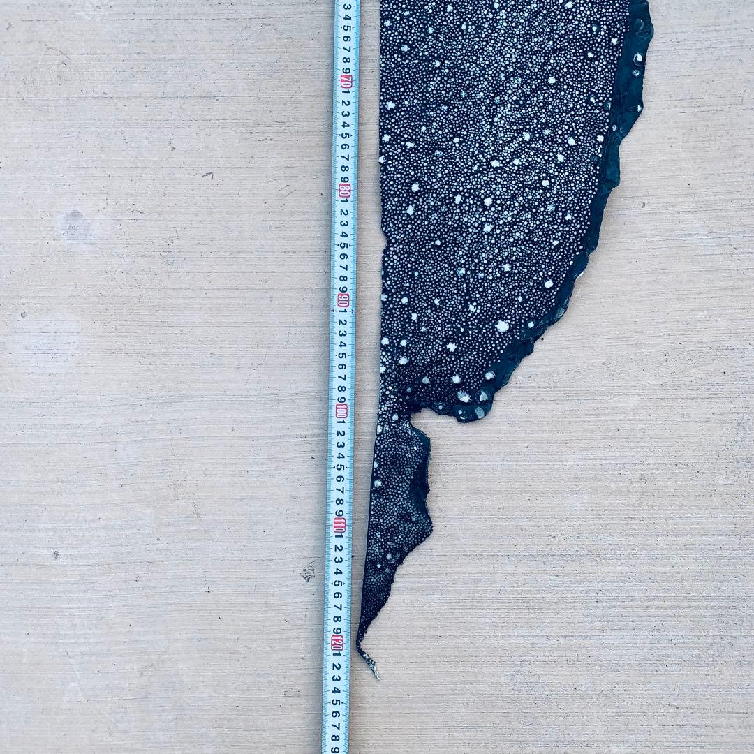 24) イバラエイ スター カイラギ エイ革 stingray ガルーシャ