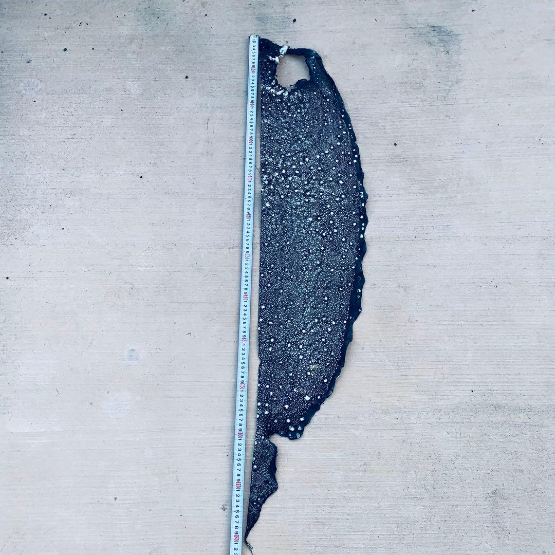 24) イバラエイ スター カイラギ エイ革 stingray ガルーシャ