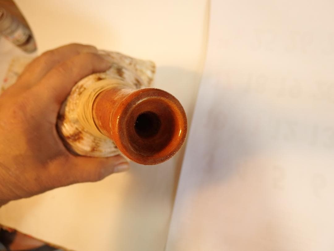 法螺貝 約39㎝ 木製歌口,新品 MH-468