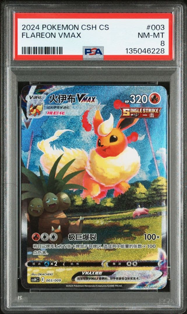 グ*ー様 【300円開始】 ポケモンカード 夏ポケカ プロモ 中国語版 PSA鑑
