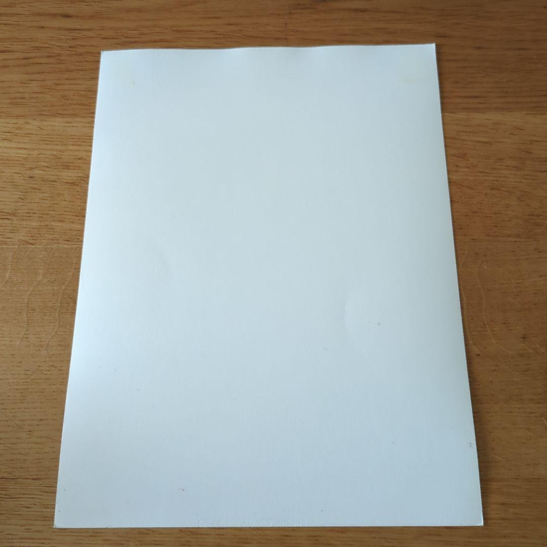 値下げ マン・レイ セルフポートレイト - メルカリ