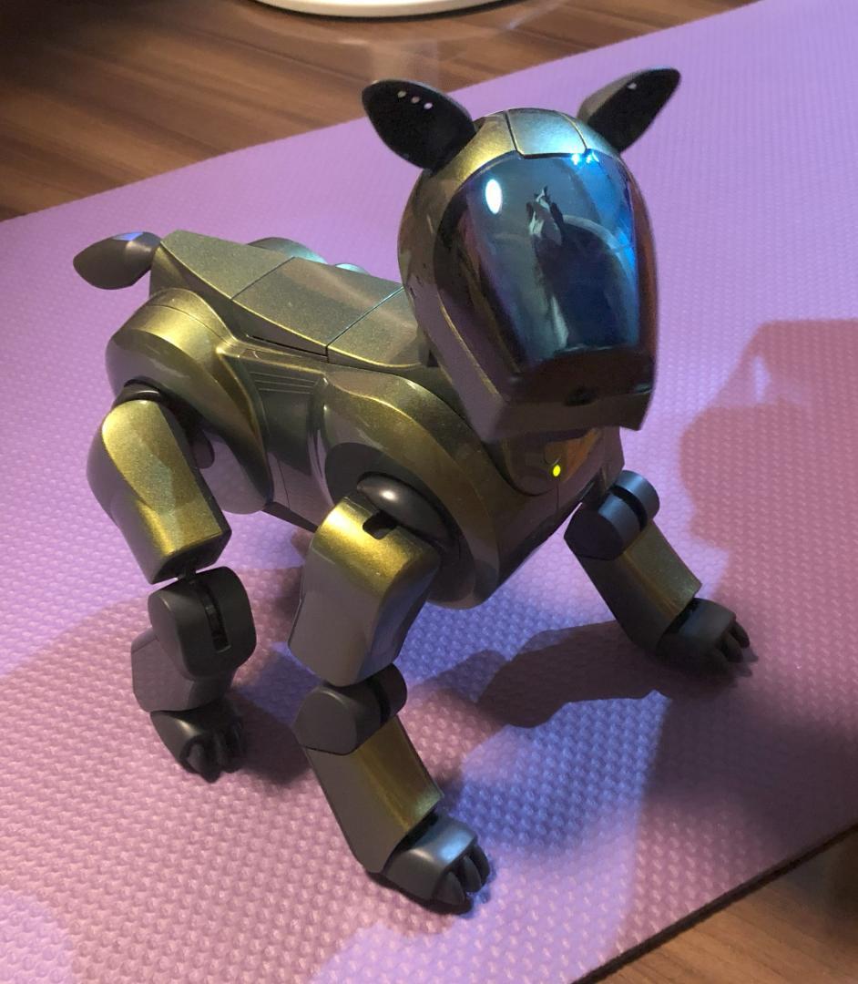 SONY ERS-210 AIBO　修理済み ソニーSONY アイボAIBO ERS-210 犬型ロボット ゴールド 付属品付